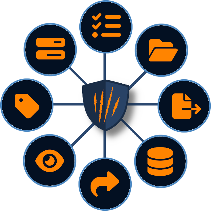Our Platform